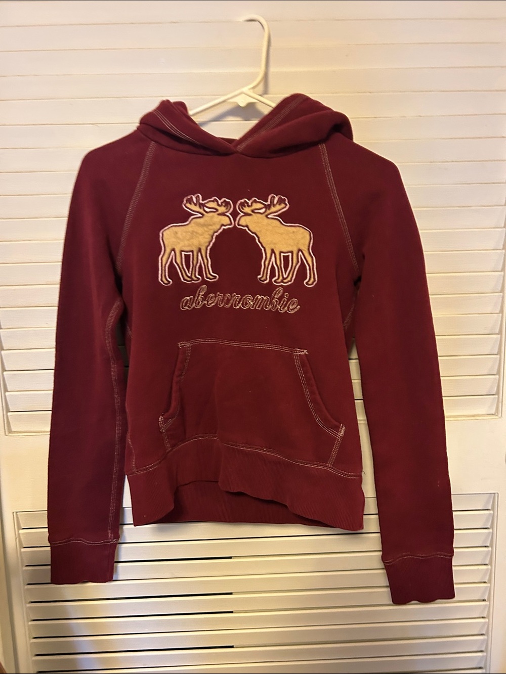 Abercrombie & Fitch Girls Large Moose Hoodie